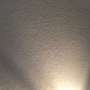 Meet your Posher, Damaris